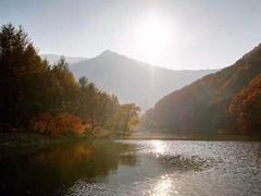 -龙道沟景区