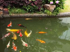 -上海虹桥宾馆味翠餐厅