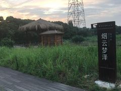-长田漾湿地公园