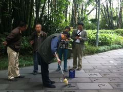 练字的老人-望江楼公园