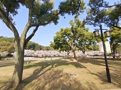 -苏州上方山国家森林公园
