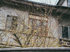 -叶楚伧故居