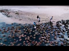 -ChanDu躔度咖啡(灯塔店)