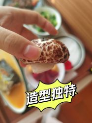 -馨月汇·一悦馨香月子中心(前滩店)