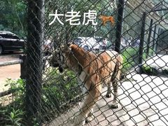 -海南热带野生动植物园