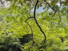 -西岭雪山大飞水景区