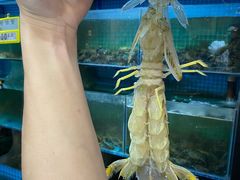 -三妹小龙虾·黄油蟹(华侨城总店)