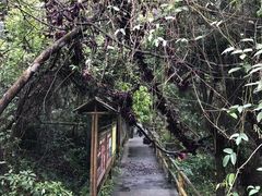 -阿依河景区