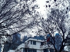-天津五大道文化旅游区