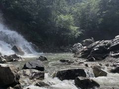-四明山国家森林公园