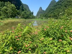 -村上春树