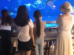 -烟台海昌鲸鲨海洋公园