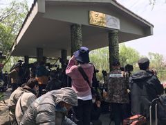 -新江湾城公园