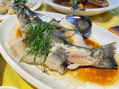 -新高记·粤菜·湛江鸡(南头古城店)