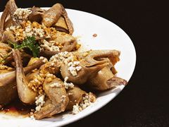 -百利鸽王(紫薇路店)