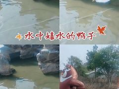 -木兰水镇旅游景区