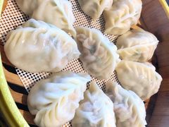 韭菜虾仁蒸饺-日进一片海.生腌海鲜火锅.宵夜烧烤(三里屯总店)
