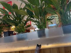 -大清花饺子(山庄店)