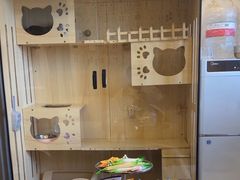 -恋爱熊婚恋情感心理咨询(常营店)