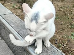 -罔极寺