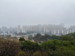 -金鸡山公园