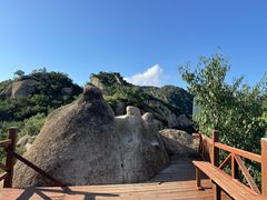 -大岭沟猕猴桃谷风景区