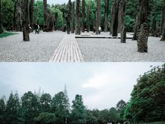 -金沙遗址博物馆