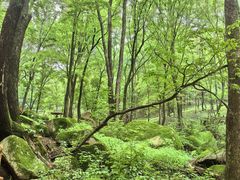 -松花湖风景名胜区