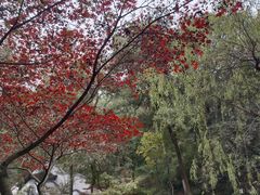 -岳麓山风景名胜区
