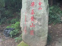 -紫金山山顶公园
