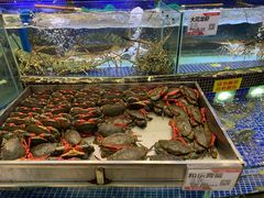 -欢乐海岸美食联盟