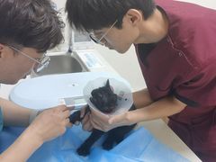 -美联众合24小时·皮肤科·外科·全科诊疗中心(华苑分院)