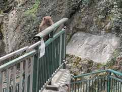 -黔灵山公园
