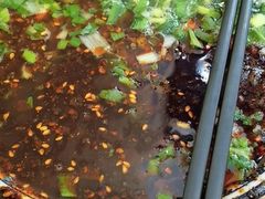 -有礼有面(知春路店)