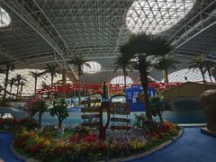 -天山海世界·米立方