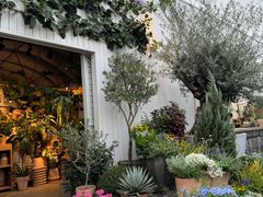 -自由生长植物工作室(深港花卉中心店)