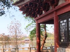 -顺峰山公园