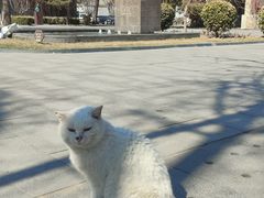 -北京鲁迅博物馆(北京新文化运动纪念馆鲁博馆区)