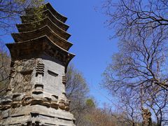 -北京凤凰岭