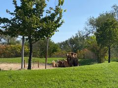 -北京野生动物园