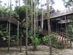 -海南槟榔谷黎苗文化旅游区