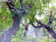 -Chom Cafe and Restaurant