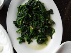 -云中小雅