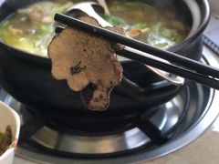 黑松露-蘑统田下·野生菌火锅