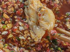 -老杨砂锅鱼庄
