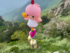 -泰山风景名胜区