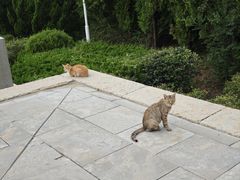 -四门塔风景区