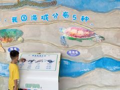 -广东惠东海龟国家级自然保护区