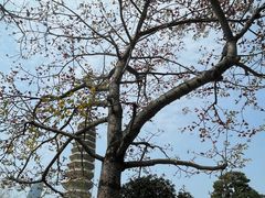 -南普陀寺