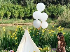 -白鹭湾湿地公园